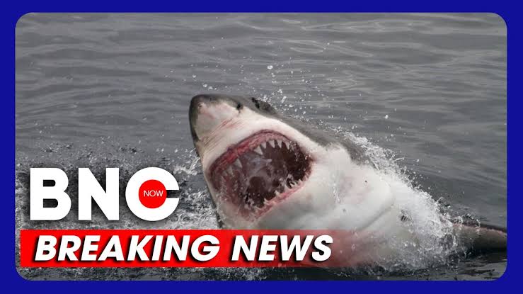 Forever in our heart: Eagles QB has be gone.